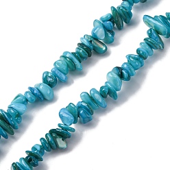 Темно-бирюзовый Естественных пресноводных оболочки бисер нитей, чип, окрашенные, темные бирюзовый, 6~16x4~8x1~7 мм, отверстие : 1 мм, около 97~157 шт / нитка, 15.75 дюйм (40 см)