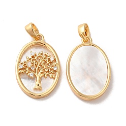 Real 18K Gold Plated Brass Shell Pendants, with Cubic Zirconia, Oval with Tree of Life Pattern, Real 18K Gold Plated, 21.5x14x3mm, Hole: 3.4x2mm