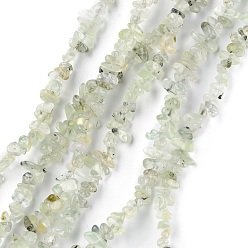 Prehnite Natural Prehnite Beads Strands, Chip, 1.5~4.5x3~13x2.5~8mm, Hole: 0.6mm, 30.94~31.97 inch(78.6~81.2cm)