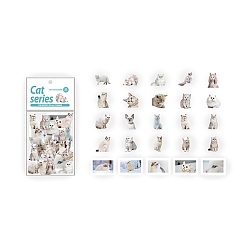 White Cat PET Sticker, for Water Bottles, Laptop, Phone, Skateboard Decoration, White, 50x50mm