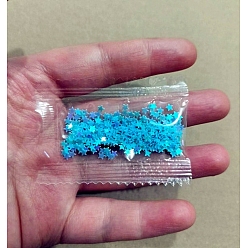 Deep Sky Blue Star Plastic Glitter Powder Fillers, UV Resin Filler, Epoxy Resin Mold Filling Material, for DIY Resin Craft Making, Deep Sky Blue, 5mm, 5g/bag