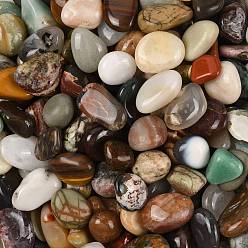 Природный Драгоценный Камень Бусины из натурального смешанного драгоценного камня, без отверстия , самородки, 12~16 мм