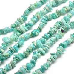 Amazonite Natural Amazonite Chip Beads Strands, 5~8x5~8mm, Hole: 1mm, about 31.5 inch