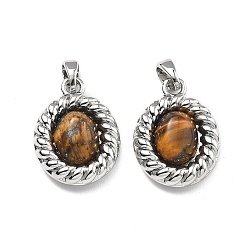 Платина Латунные подвески из тигрового глаза, овальные амулеты, платина, 18.5x14x6 мм, отверстие : 4 мм