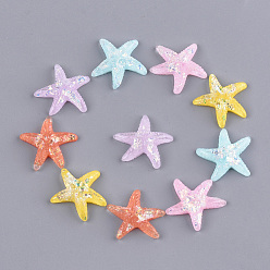 Mixed Color Resin Cabochons, with Shell Chip, Starfish/Sea Stars, Mixed Color, 24x25.5x5mm