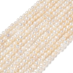 Beige Brins de perles de culture d'eau douce naturelles, Note 3 un, pomme de terre, beige, 2.5~3mm, Trou: 0.2mm, Environ 125 pcs/chapelet, 13.78'' (35 cm)