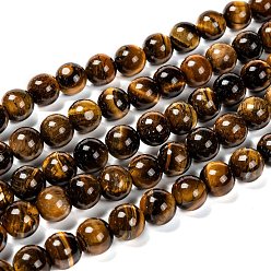 Tiger Eye Natural Grade AB Tiger Eye Round Beads Strands, 6mm, Hole: 1mm, about 59~63pcs/strand, 15.5 inch