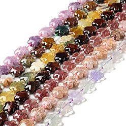Mixed Stone Natural Mixed Stone Beads Strands, 5-petal Flower, 14~15x14~15x6~7mm, Hole: 1.2mm, about 27pcs/strand, 16.14''(41~44.5cm)