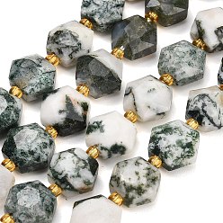 Tree Agate Natural Tree Agate Beads Strands, Hexagon, Faceted, with Seed Beads, 10x11x6~7mm, Hole: 1.4mm, about 15~16pcs/strand, 7.28''(18.5cm)~7.48''(19cm)