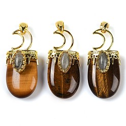 Тигровый глаз Природных тигровый глаз подвески, Луна прелести, с реечным покрытием позолоченные латунные выводы, без свинца и без кадмия, 43.5~45x20~22x14.5~15.5 мм, отверстие : 6.5x5 мм