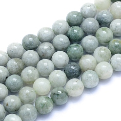Myanmar Jade Natural Myanmar Jade/Burmese Jade Beads Strands, Round, 8mm, Hole: 0.7mm, about 49pcs/strand, 15.75 inch(40cm)