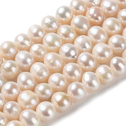 PapayaWhip Natural Cultured Freshwater Pearl Beads Strands, Potato, Grade 2A, PapayaWhip, 5.5~8x7~8mm, Hole: 0.5mm, about 54pcs/strand, 13.78 inch(35cm)