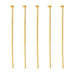Золотой Железные штыри с плоской головкой, без кадмия, без никеля и без свинца, золотые, 30x0.75~0.8 мм, 20 датчик, Около 336 шт / 50 г, Руководитель: 2 mm