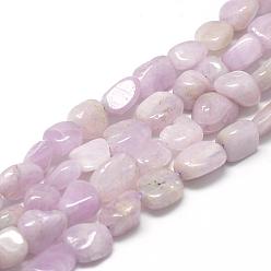 Kunzite Kunzite naturelles brins de perles, perles de spodumène, ovale, 8~15x7~12x4~12mm, trou: 1mm, environ 30~45 pcs/chapelet, 15.7