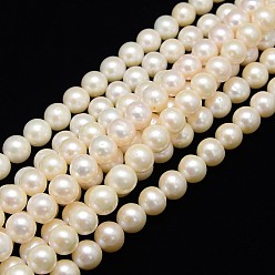 Creamy White Natural Cultured Freshwater Pearl Beads Strands, Round, Creamy White, 11~12mm, Hole: 0.8mm, about 38pcs/strand, 14.96 inch~15.74 inch