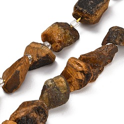 Tiger Eye Natural Tiger Eye Beads Strands, Raw Rough, Nuggets, with Seed Beads, 13~23x12~16x6~13mm, Hole: 1mm, about 11~13pcs/strand, 7.44''(18.9cm)~7.99''(20.3cm)