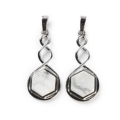 Говлит Природные подвески Говлит, покрытие стойки латунные шестигранные подвески, без свинца и без кадмия, платина, 37.5x17x4.5~5 мм, отверстие : 6.5x5 мм