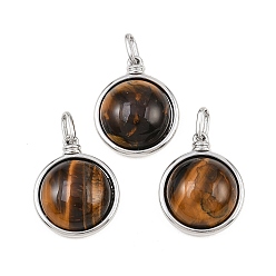 Платина Природных тигровый глаз подвески, полукруглые подвески с латунной оправой, платина, 20.5x17x7 мм, отверстие : 4.5x2 мм
