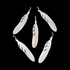 Antique White Natural Freshwater Shell Big Pendants, Feather Charms with Platinum Plated Brass Pinch Bails, Antique White, 68~68.5x14~14.5x1.5~2mm, Hole: 4.5x4mm