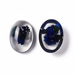 Natural Gemstone Natural Azurite Cabochons, with Epoxy Resin, Dyed, Half Oval, 24~25x18~18.5x7~8.5mm