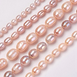 PeachPuff Natural Cultured Freshwater Pearl Beads Strands, Rice, PeachPuff, 4~11x4~11mm, Hole: 0.5~1mm, about 32~108pcs/strand, 14.1 inch~14.7 inch(36~37.5cm)