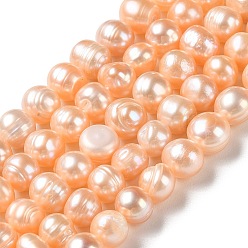 PeachPuff Natural Cultured Freshwater Pearl Beads Strands, Potato, Grade A, PeachPuff, 6~8.5x6.5~7.5mm, Hole: 0.7mm, about 52pcs/strand, 13.86''(35.2cm)