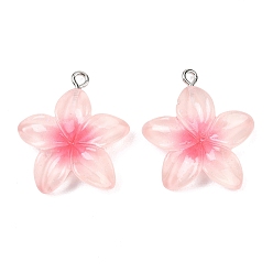 Бледно-Розовый Прозрачные смоляные подвески, красный жасмин, с железными петлями и блестящей пудрой, розовый жемчуг, 27.5x24.5x6 мм, отверстие : 2 мм