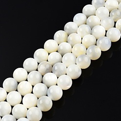 White Shell Natural White Shell Bead Strands, Round, 7mm, Hole: 0.9mm, about 55pcs/strand, 14.96 inch(38cm)