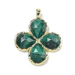 Малахит Ограненные подвески из натурального малахита, Подвески в виде клевера с латунными застежками с гальваническим покрытием., золотые, 30~31x25.5x5.5~6 мм, отверстие : 4x3 мм