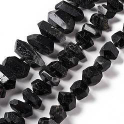 Tourmaline Natural Black Tourmaline Beads Strands, Faceted, Nuggets, 14~29x12~14x10~11.5mm, Hole: 1.6mm, about 33~39pcs/strand, 17.13~18.11 inch(43.5~46cm)