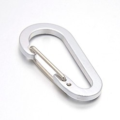 Silver Aluminum Rock Climbing Carabiners, Key Clasps, with Iron Findings, Silver, 60.5x30.5x9mm