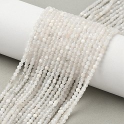 Moonstone Natural Moonstone Beads Strands, Round, Faceted, 3mm, Hole: 0.6mm, about 124~125pcs/strand, 14.96"~15.35"(38~39cm)