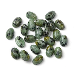 African Turquoise(Jasper) Natural African Turquoise(Jasper) Cabochons, Oval, 6x4x2~2.5mm