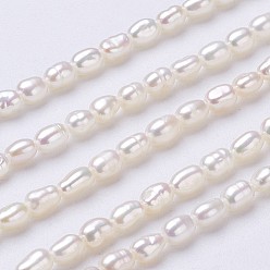 Floral White Natural Cultured Freshwater Pearl Beads Strands, Rice, Floral White, 3.5~4x2.5~3mm, Hole: 0.2mm, about 95~100pcs/strand, 15.1 inch