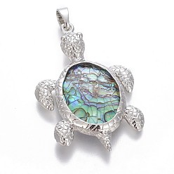 Раковина Кулон с панцирем, с латунной фурнитурой , Морская черепаха, платина, 49x31.5x5.5 мм, отверстие : 8x5 мм