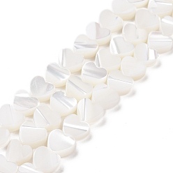 White Natural Trochus Shell Beads Strands, Heart, White, 6.5x6.5x2.5mm, Hole: 0.8mm, about 66pcs/strand, 15.20''(38.6cm)