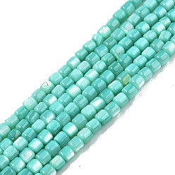 Turquoise Natural Freshwater Shell Beads Strands, Dyed, Column, Turquoise, 3.5x3.5mm, Hole: 0.8mm, about 110~113pcs/strand, 14.69 inch~15.08 inch(37.3~38.3cm)