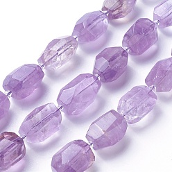 Lilac Natural Amethyst Beads Strands, Faceted, Polygon, Lilac, 19~22x12~18mm, Hole: 1.5mm, about 16~17pcs/strand, 15.15 inch~16.14 inch(38.5~41cm)