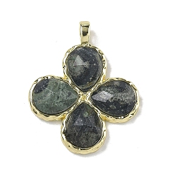 Яшма Камбаба Натуральные ограненные подвески из яшмы камбаба, Подвески в виде клевера с латунными застежками с гальваническим покрытием., золотые, 30~31x25.5x5.5~6 мм, отверстие : 4x3 мм