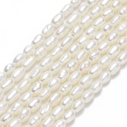 Lin Brins de perles de culture d'eau douce naturelles, riz, linge, 3.5~4x2~2.5mm, Trou: 0.5mm, Environ 105~112 pcs/chapelet, 14.96'' (38 cm)