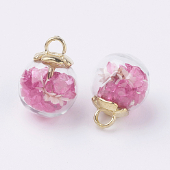 Hot Pink Glass Ball Pendants, with CCB Plastic Findings, Random Dried Flower and Rhinestone, Hot Pink, 20x15.5mm, Hole: 3.5mm