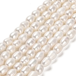PapayaWhip Natural Cultured Freshwater Pearl Beads Strands, Rice, Grade A, PapayaWhip, 6~7x5~5.5mm, Hole: 0.7mm, about 52pcs/strand, 13.78 inch(35cm)