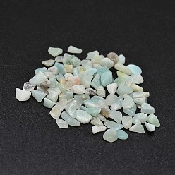 Flower Amazonite Natural Flower Amazonite Chip Beads, No Hole/Undrilled, 2~8x2~4mm, about 8500pcs/500g