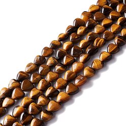 Tiger Eye Natural Tiger Eye Beads Strands, Heart, 12.5x12.5x6mm, Hole: 1mm, about 33pcs/strand, 15.55''(39.5cm)