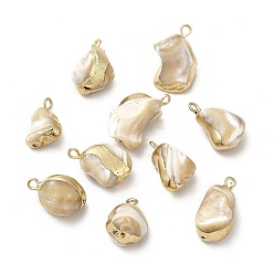 PapayaWhip Natural Trochus Shell Pendants, Nuggets Charms, with Light Gold Tone Brass Findings, PapayaWhip, 14.5~20.5x9.5~13x8~12mm, Hole: 1.8mm