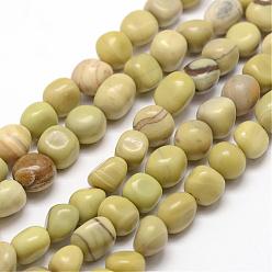 Butter Jade Natural Butter Jade Beads Strands, Chip, 7~9x7~9x3~8mm, Hole: 1mm, about 42~47pcs/strand, 15.7 inch(40cm)