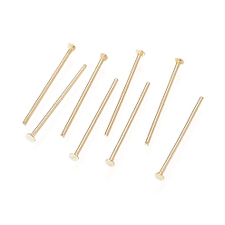 Golden 304 Stainless Steel Flat Head Pins, Golden, 25x0.6mm, 22 Gauge, Head: 1.4mm