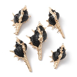 Black Electroplate Spiral Shell Big Pendants, Spray Painted Shell Charms with Light Gold Plated Iron Loops, Black, 50~92x27~44x26~32mm, Hole: 1.5~2mm