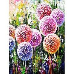 Colorful Dandelion Diamond Painting Kits, Including Acrylic Board, Resin Rhinestones Bag, Diamond Sticky Pen, Tray Plate and Glue Clay, Rubbing Board, Tweezers, Colorful, 400x300mm