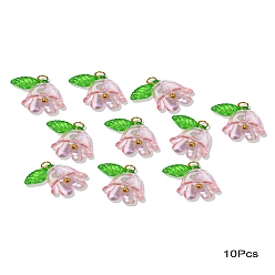 Pink Акриловые кулон, с латунной фурнитурой , розовые, 13 мм, отверстие : 2 мм